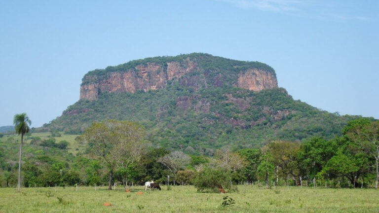 Avistamento no Morro do Chapéu