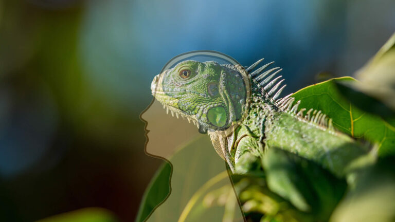 Temos Cérebro Reptiliano?